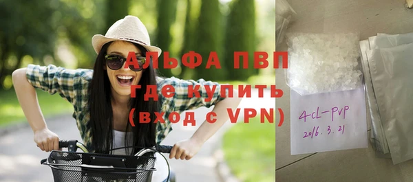 амф Богданович