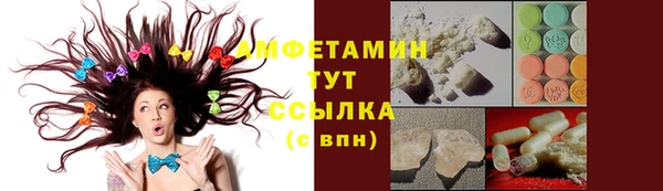 амф Богданович