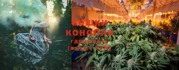 амф Богданович