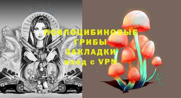 первитин Богородск