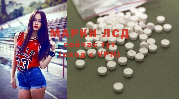 амф Богданович